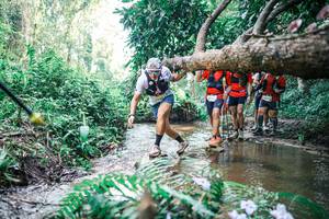 BIB: 
                            <button type="button" onclick="openModal(25469336)" class="btn btn-primary btn-sm float-right btn-popup" data-toggle="modal" data-target=".modal-high-quality">
                        <i class="fas fa-shopping-cart"></i> Add to Cart
                    </button>
                                            <button type="button" onclick="isThisMe(25469336, true)" class="btn btn-success btn-sm float-right btn-popup btn-isme hidden" data-toggle="tooltip" data-placement="bottom" title="นี่คือรูปของคุณใช่ไหม คลิกที่นี่เพื่อเอาเข้าอัลบั้ม">
                        <i class="fas fa-plus"></i> Add to album
                    </button>
                    <button type="button" onclick="isThisMe(25469336, false)" class="btn btn-warning btn-sm float-right btn-popup btn-isnotme hidden">
                        <i class="fas fa-ban"></i> Remove from album
                    </button>